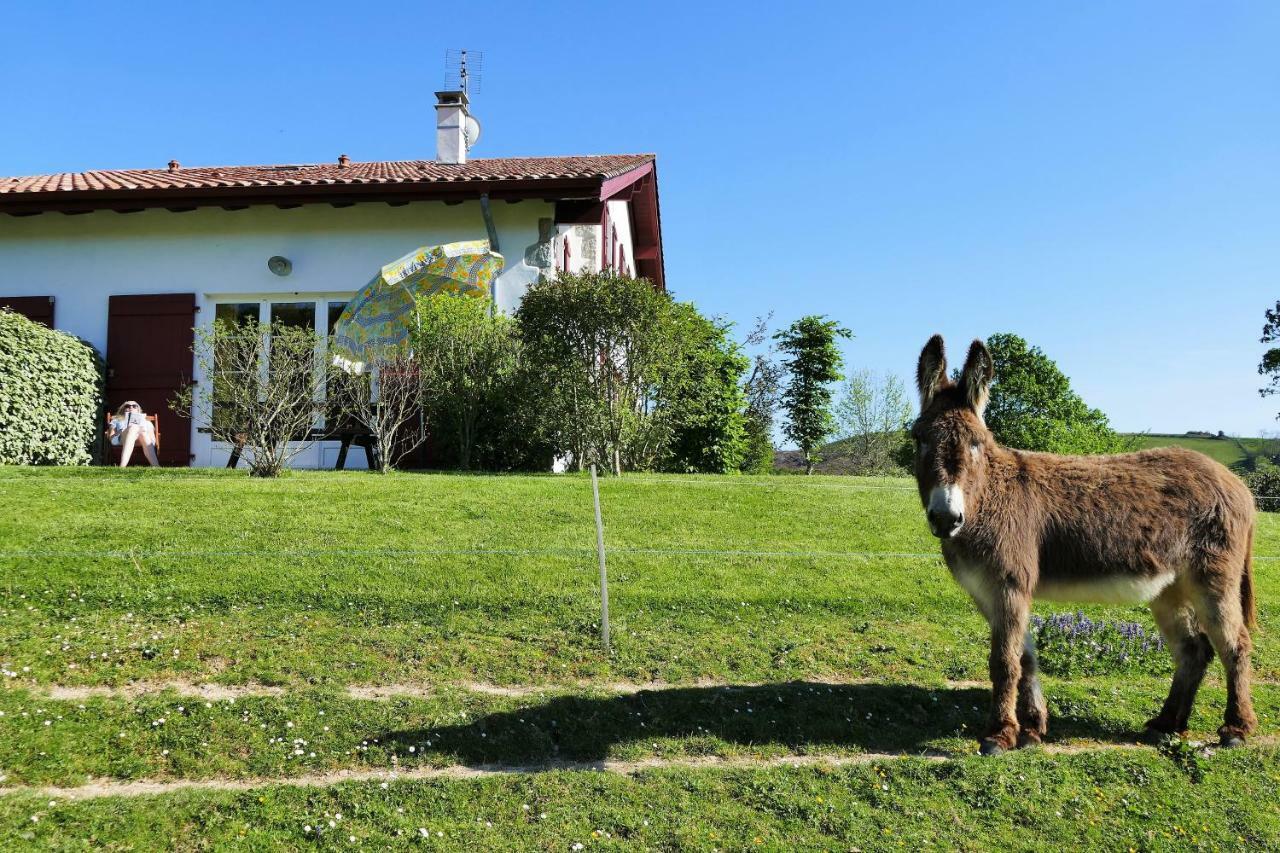 Baskoparadis I Eco-Gites I Calme I Vue I Anes I Jardin I Montagne I Nature Louhossoa Exterior photo